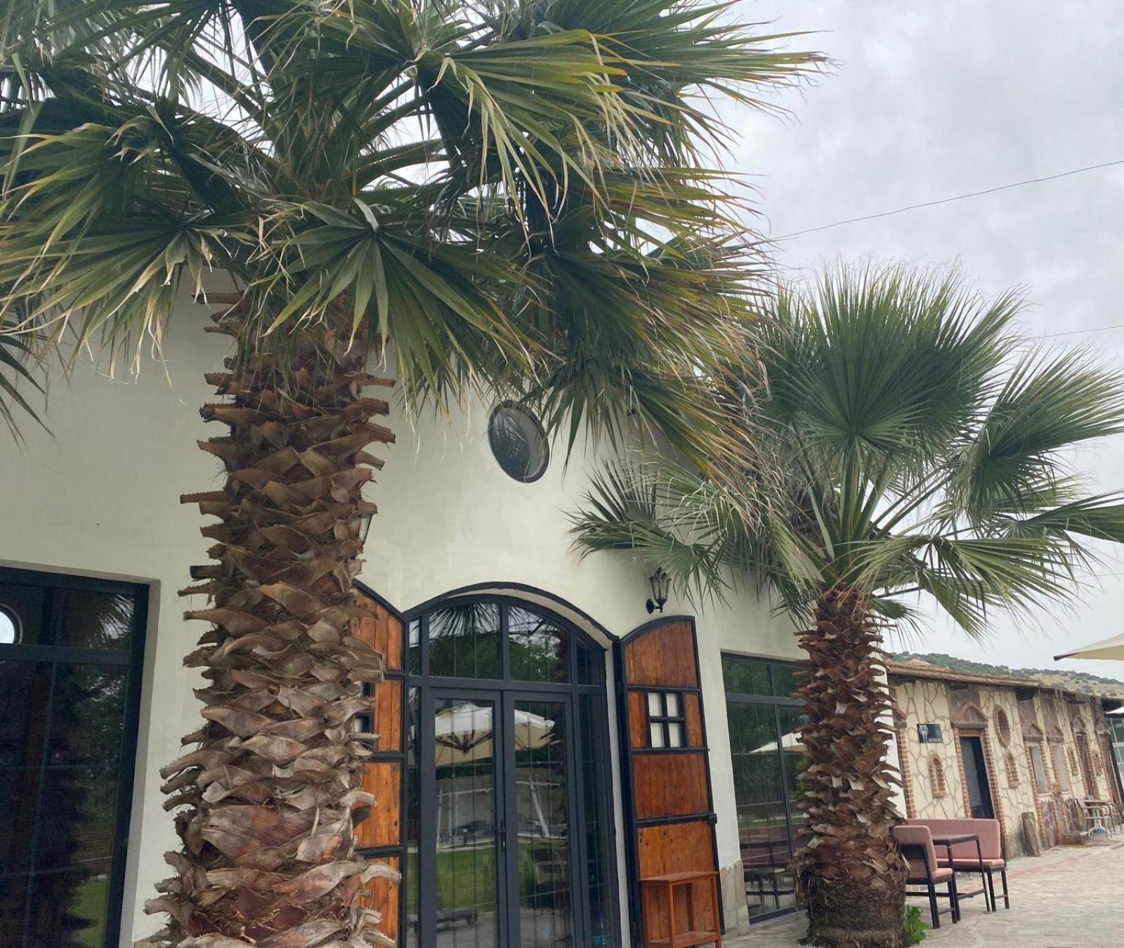 Apartamento Erdem Ciftligi/ Ephesus Arena Selçuk Exterior foto