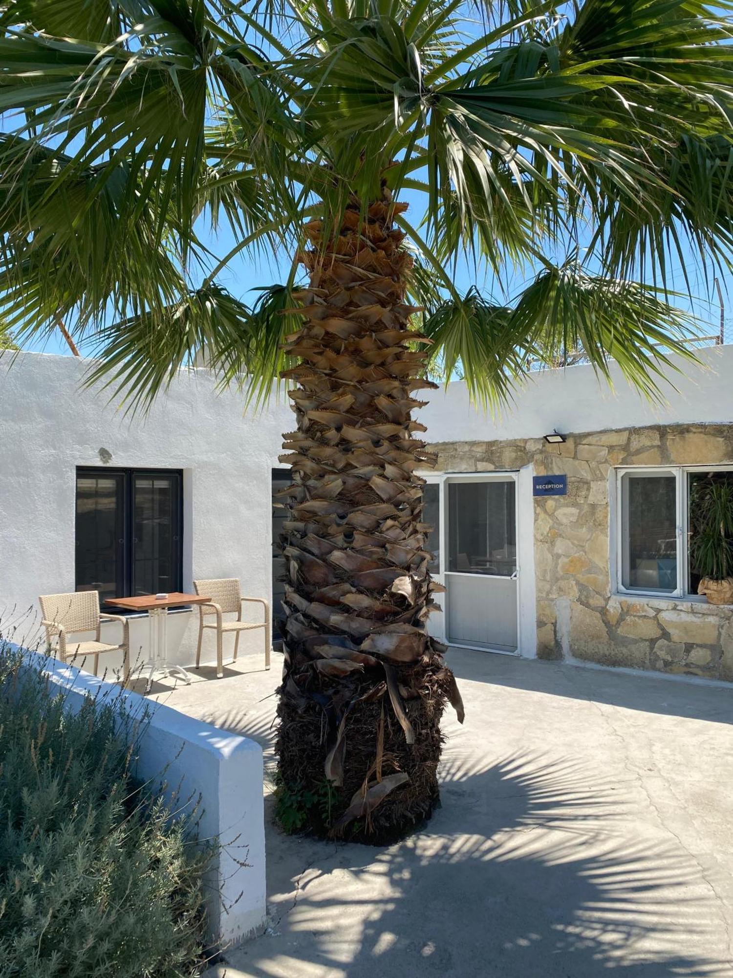 Apartamento Erdem Ciftligi/ Ephesus Arena Selçuk Exterior foto