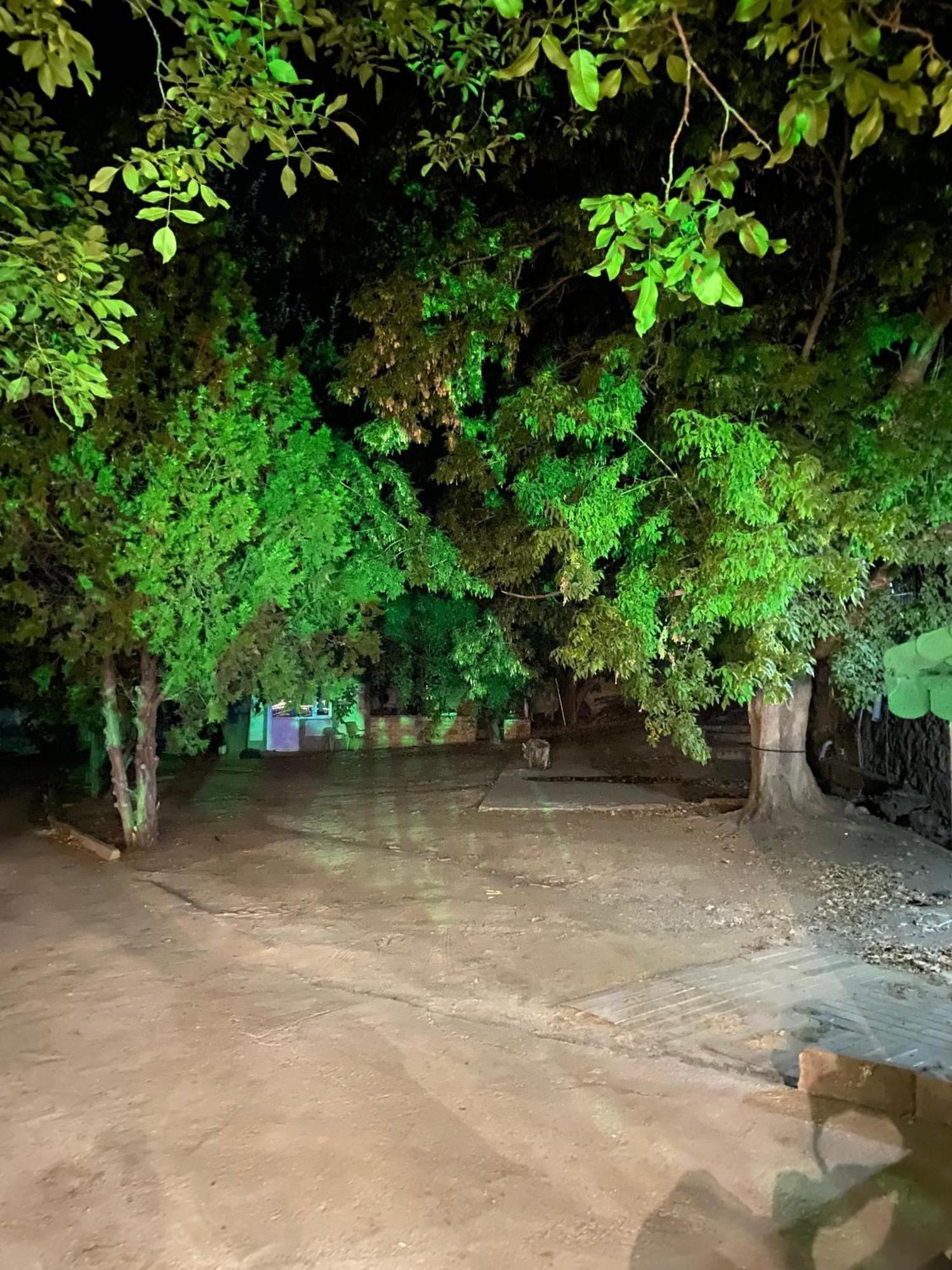 Apartamento Erdem Ciftligi/ Ephesus Arena Selçuk Exterior foto